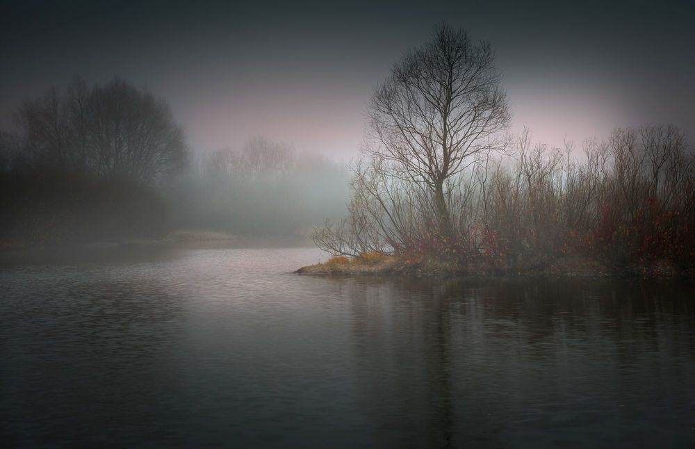 Photo 2092887