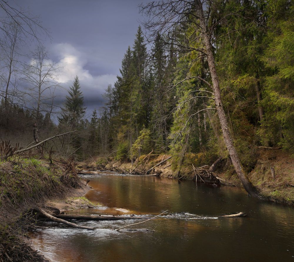 Photo 2092889