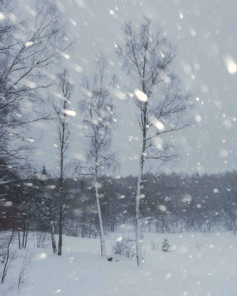 Снегопад