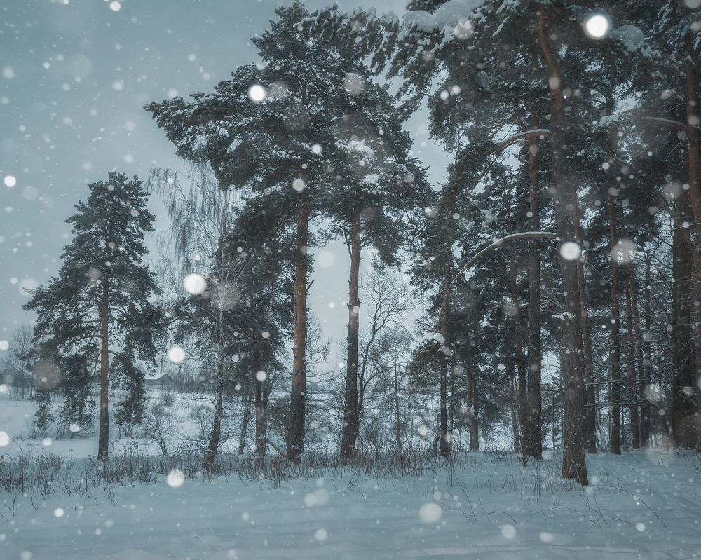 Снегопад
