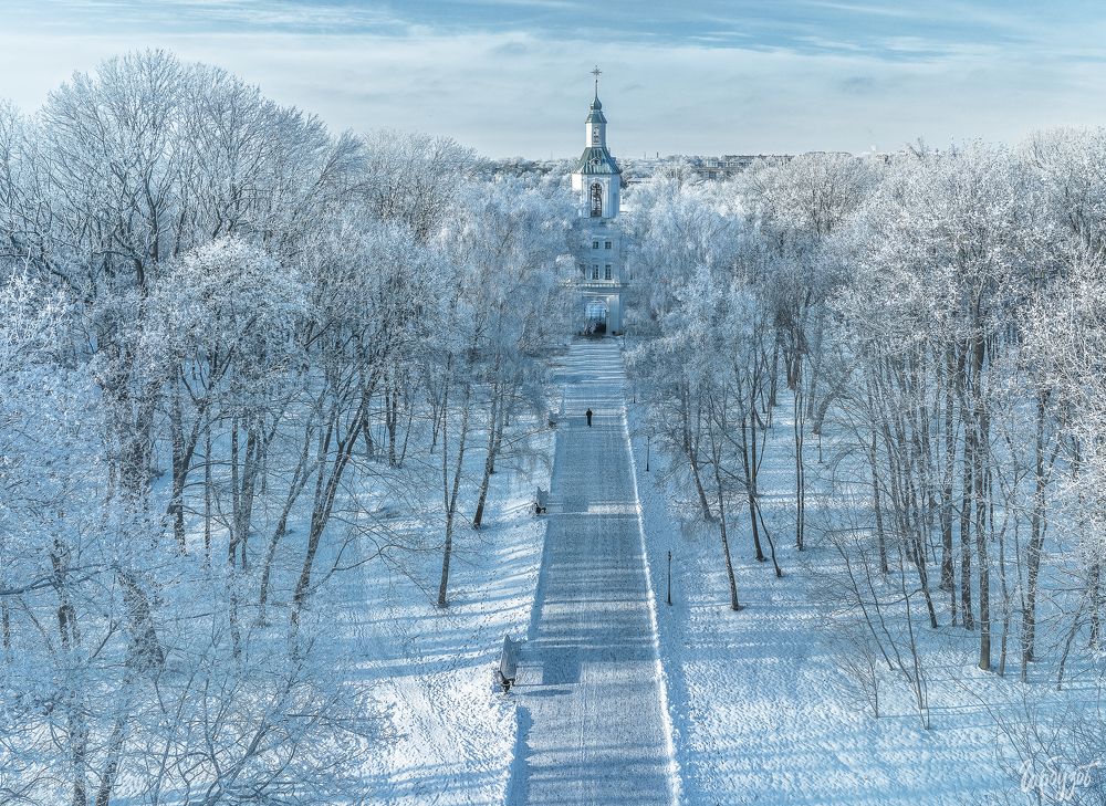 Богородицкий парк в иней