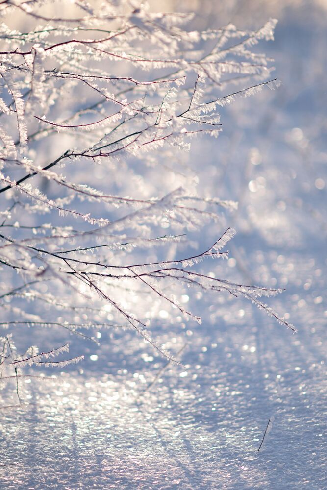 Photo 2096329
