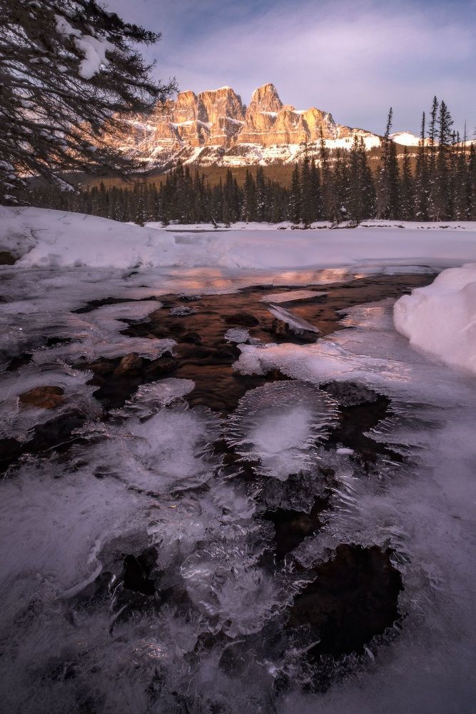 Вид на горный комплекс Кастл (Castle Mountain)