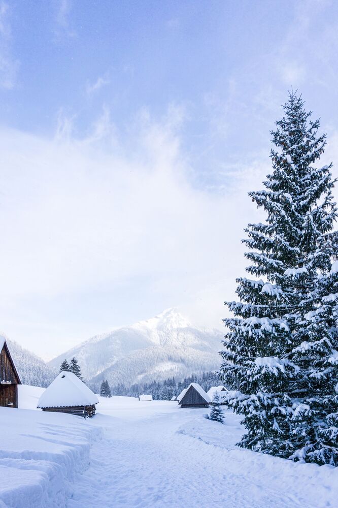 Snowy valley