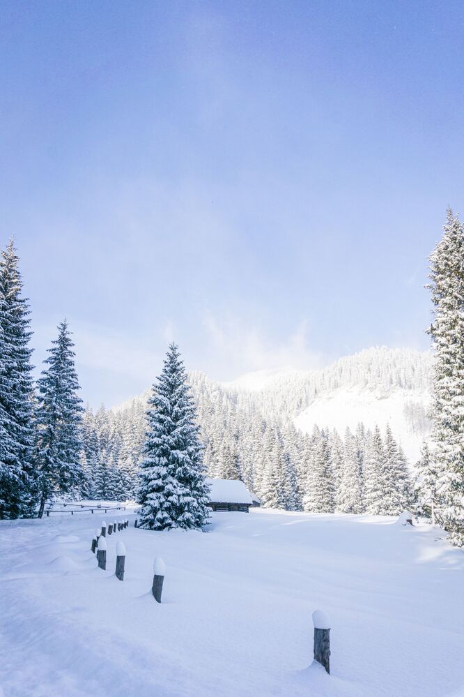 Snowy valley