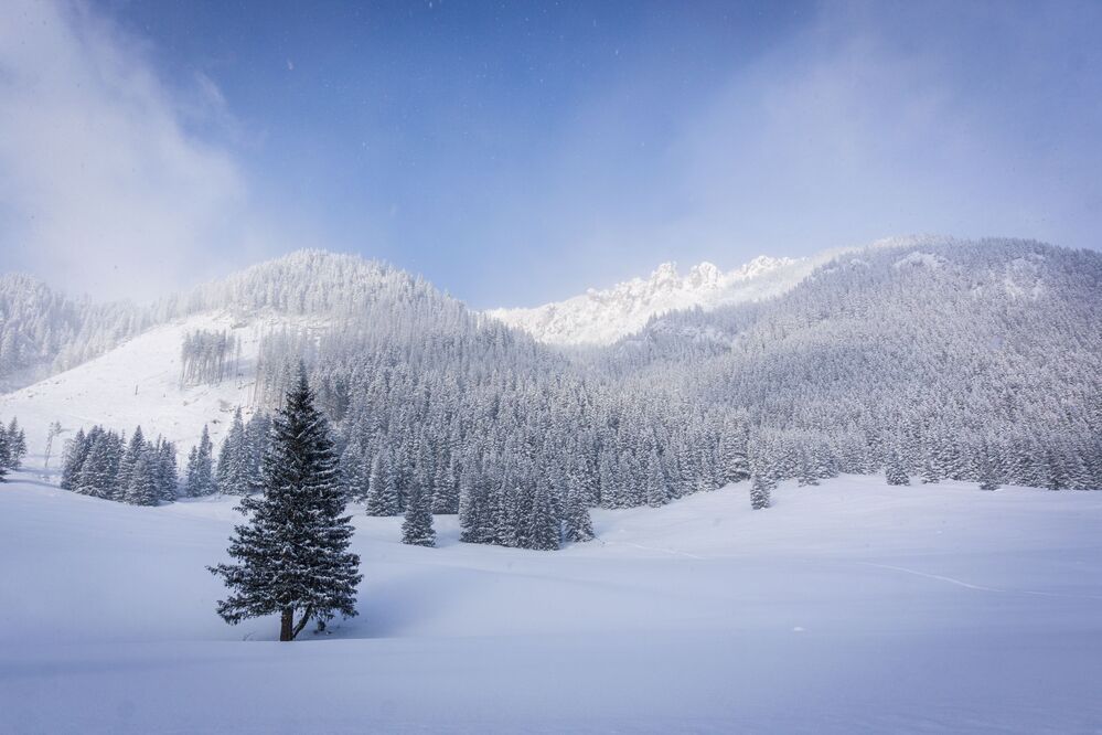 Snowy valley