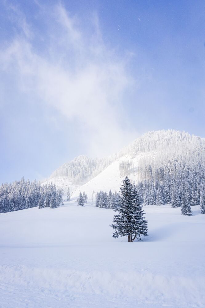 Snowy valley