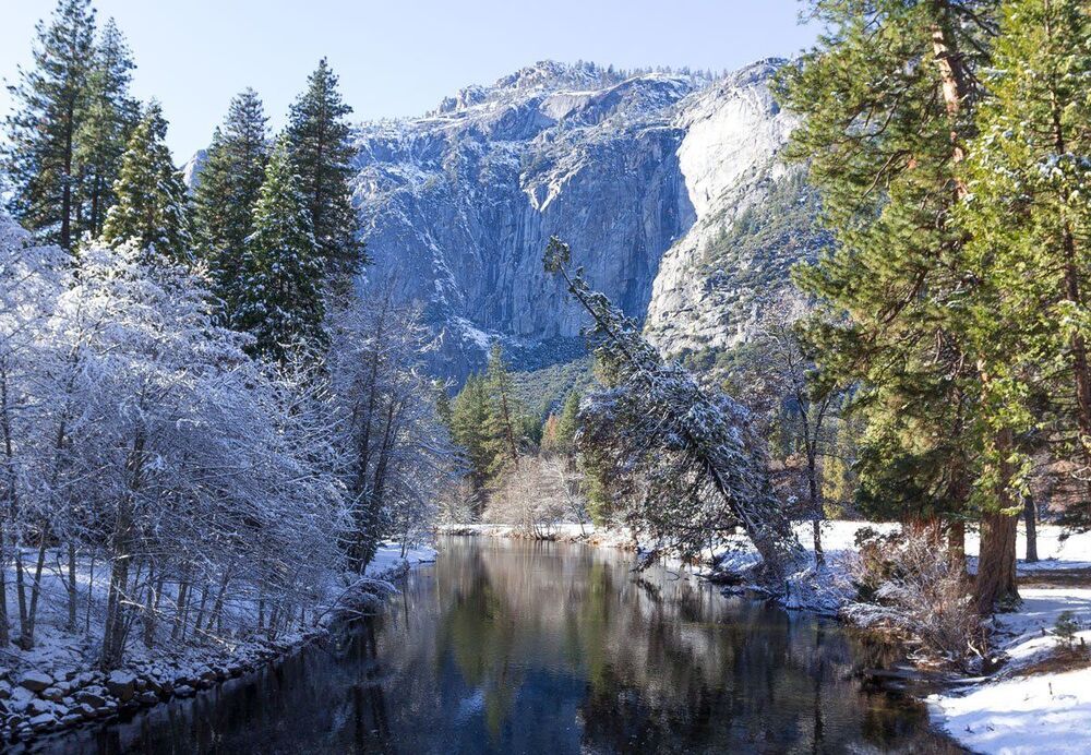 Без названия