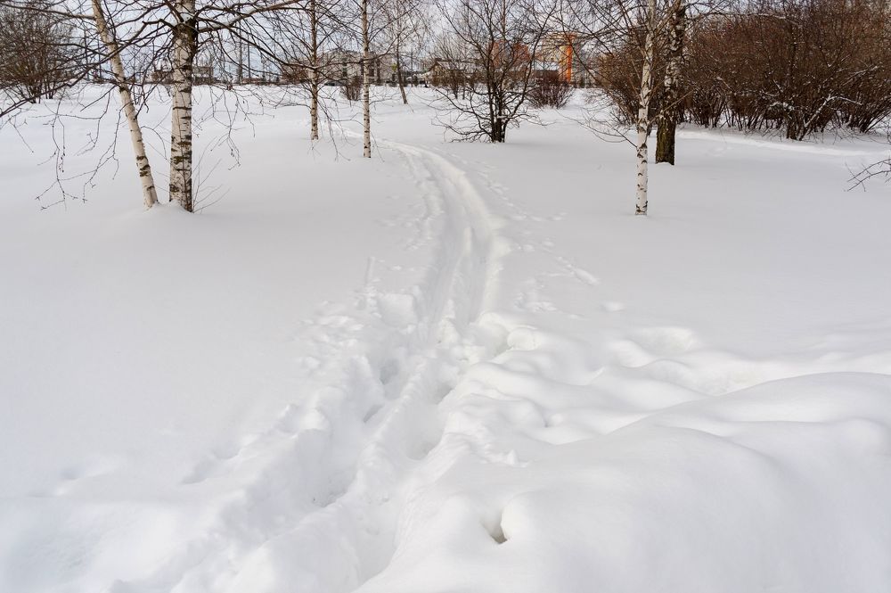 Конец января