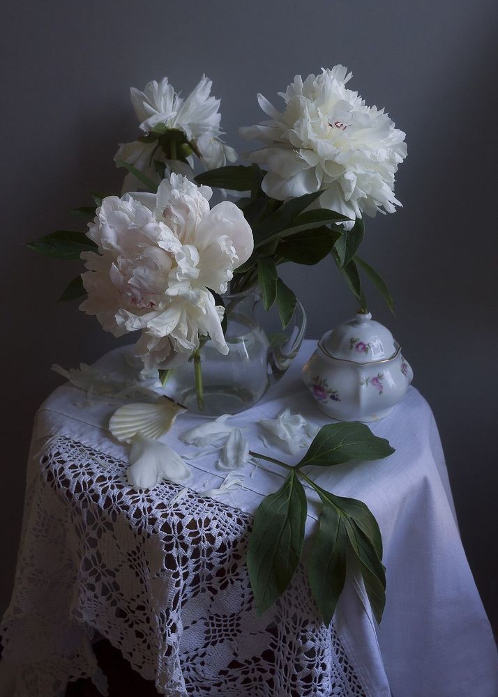 Photo 2104429