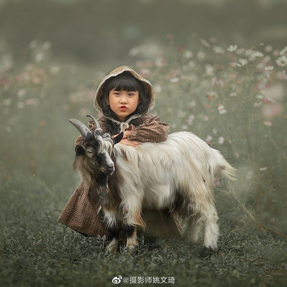 Yao Wenqi