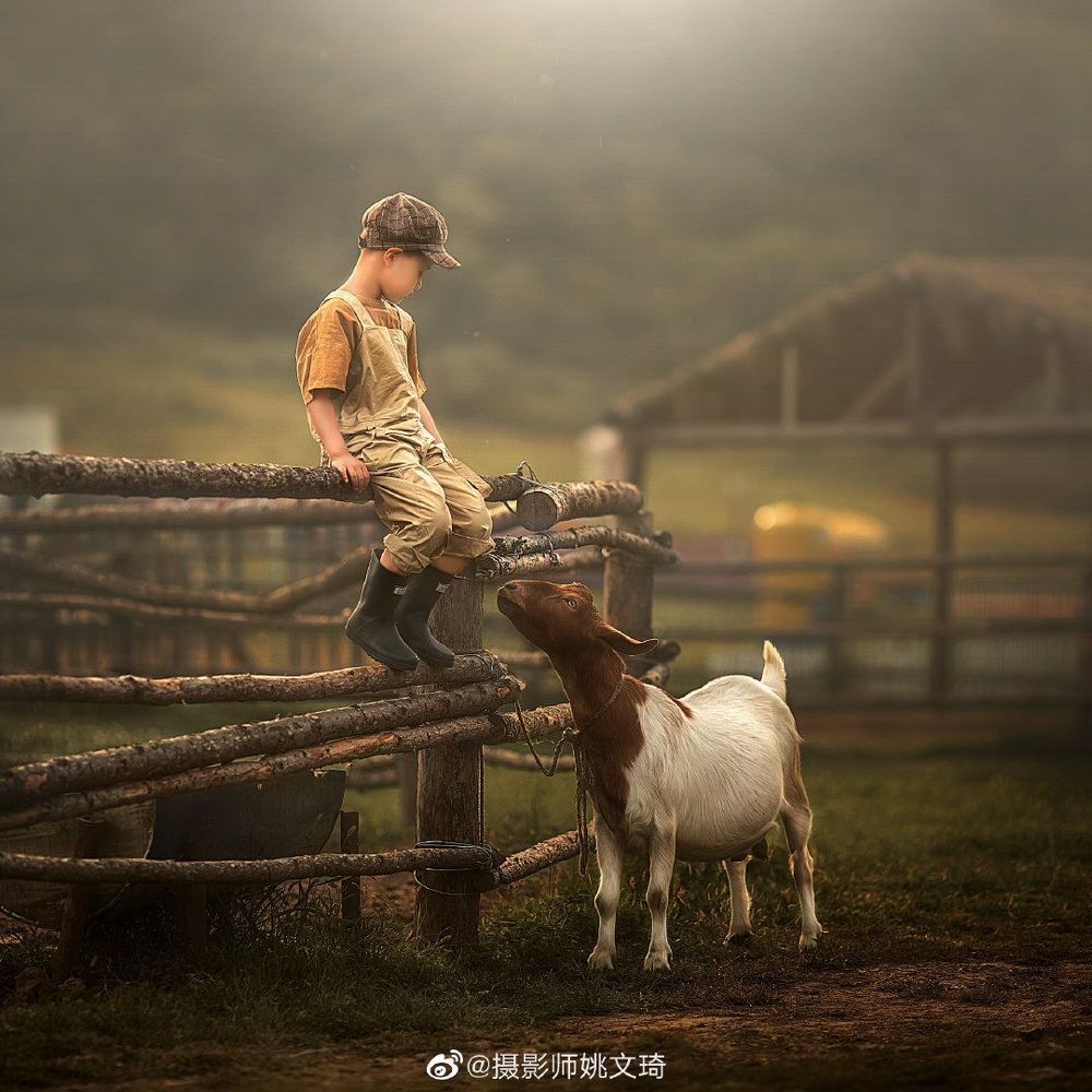 Yao Wenqi