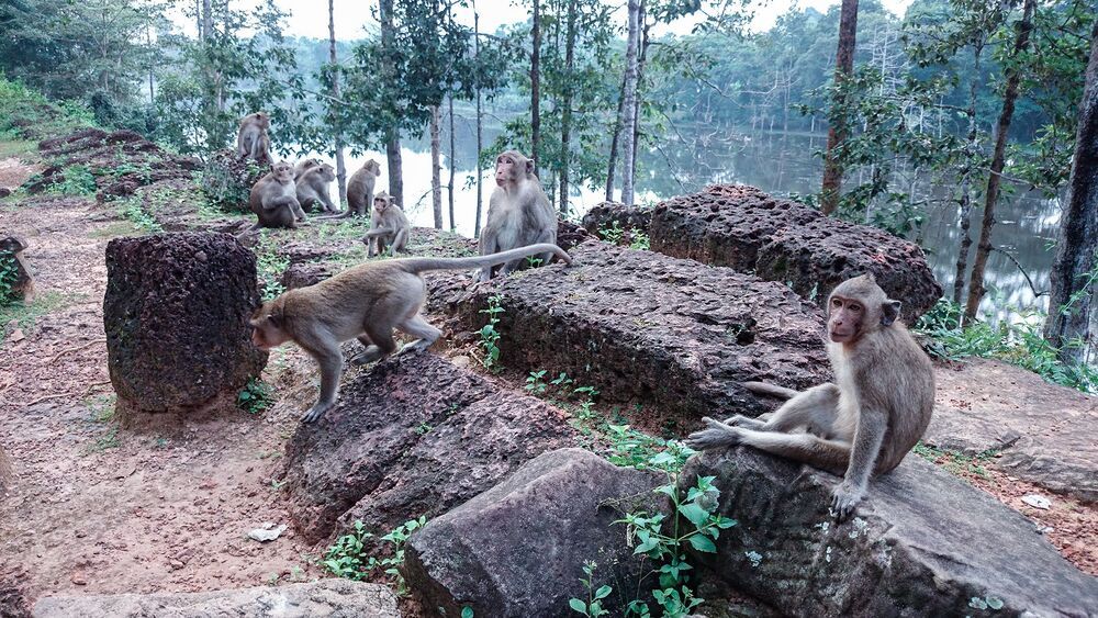 Cambodia