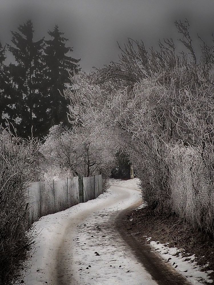 Winter country roads