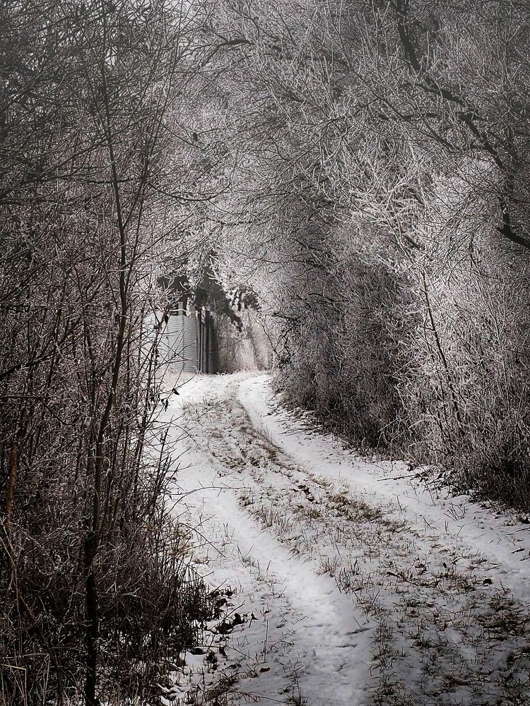 Winter country roads