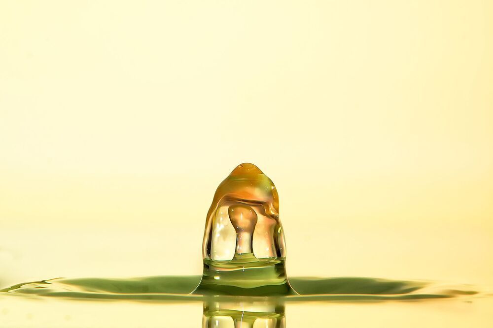 Splash