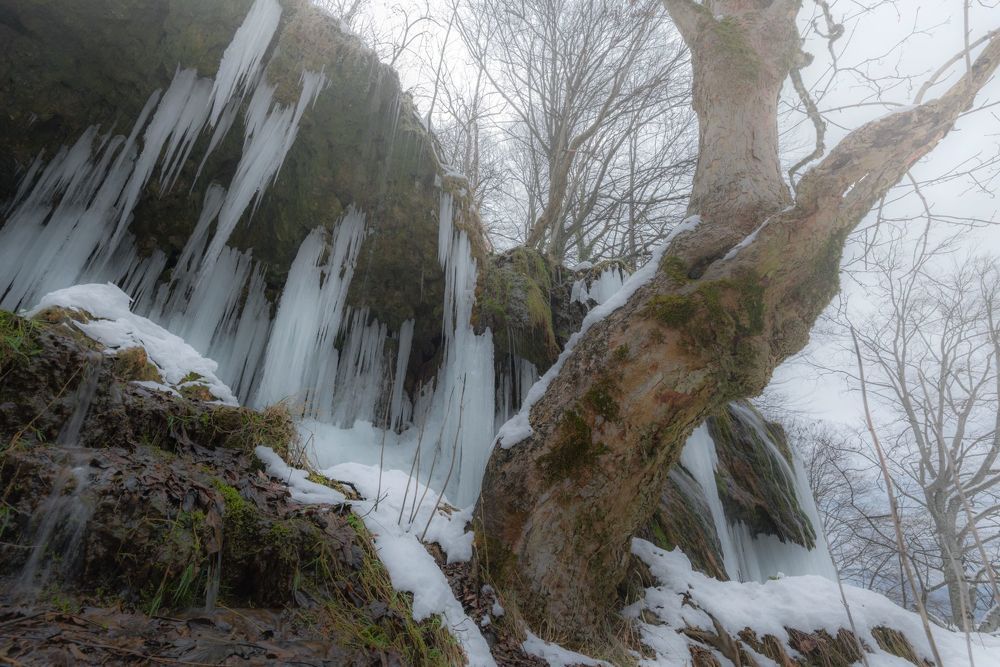 Frozen kingdom.Varovitec Waterfall, Bulgaria.