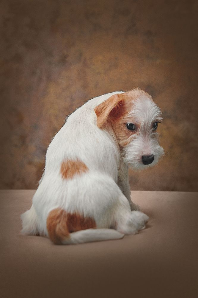 Photo 2110247
