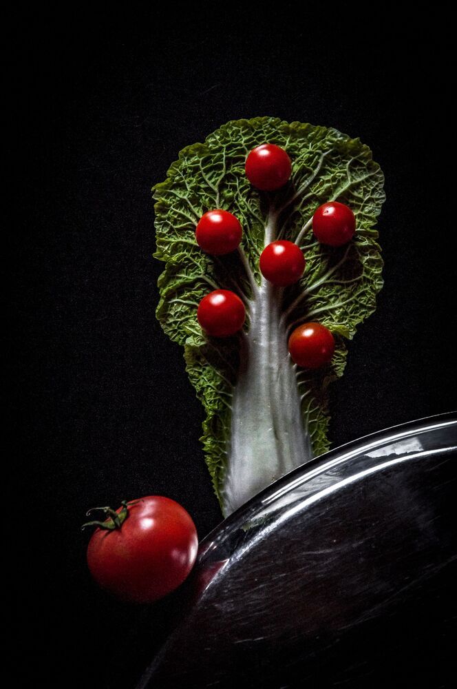 still life #7