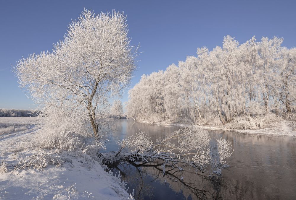 Морозный день