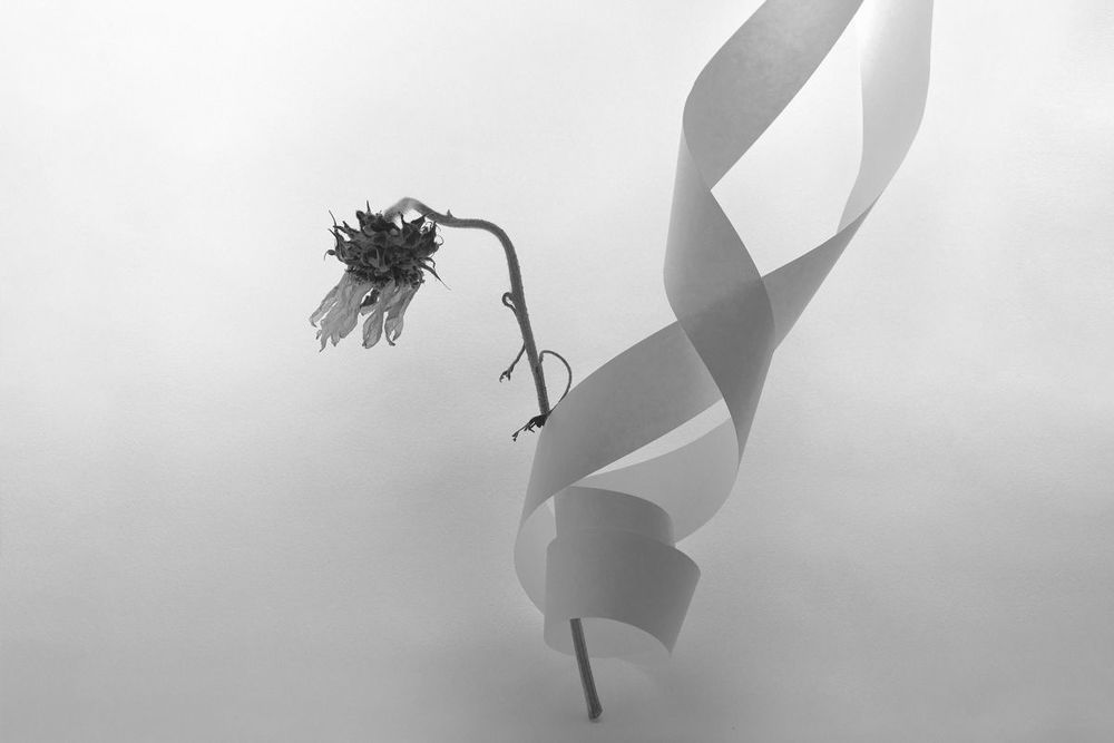 Photo 2115561