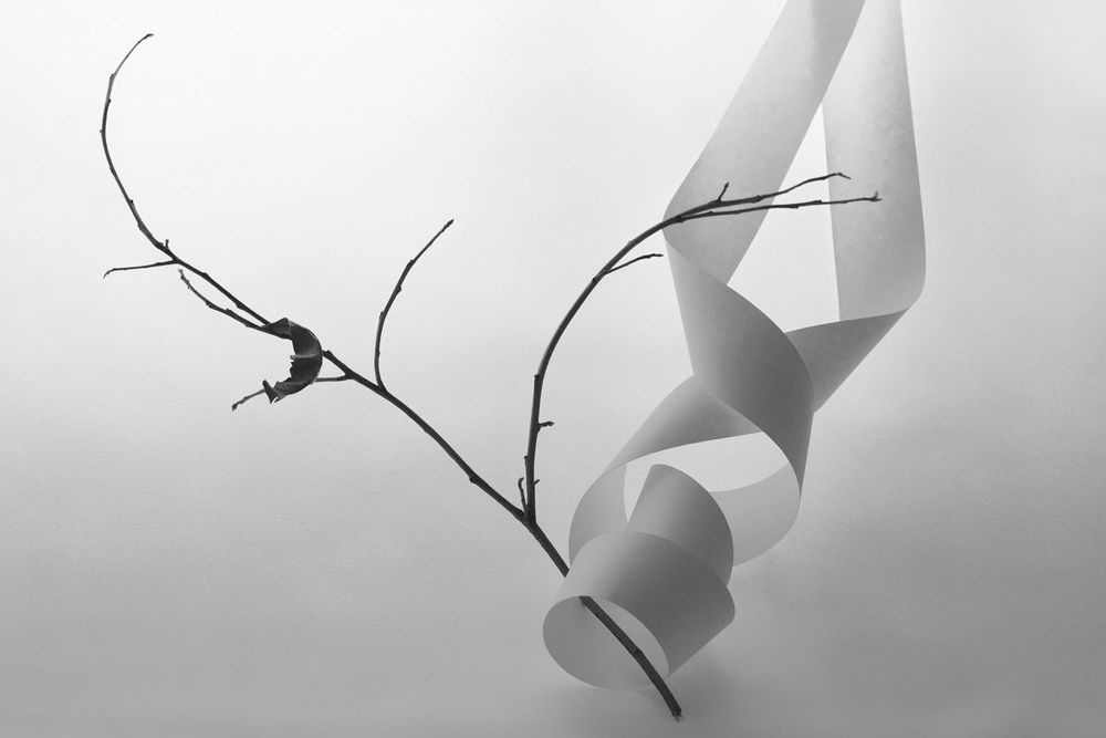 Photo 2115562