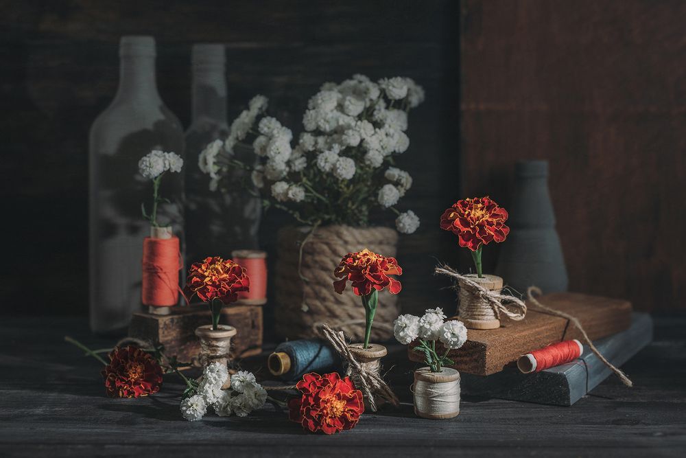 Photo 2117499