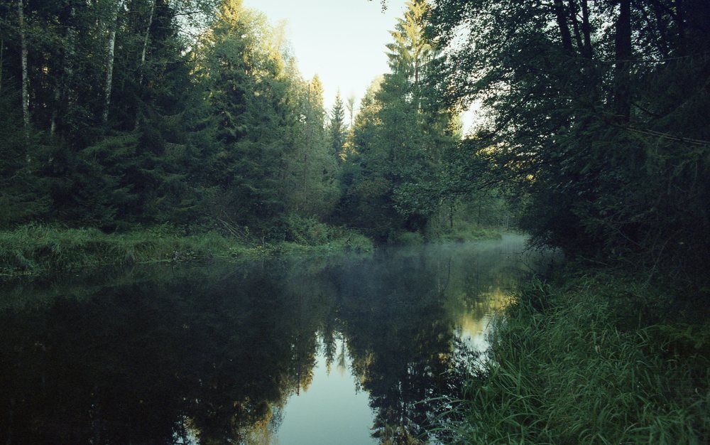 Линдуловская роща