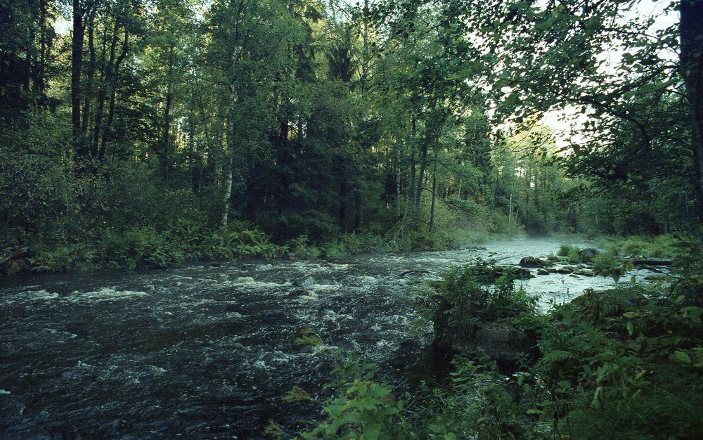 Линдуловская роща