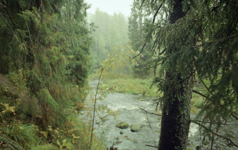 Линдуловская роща