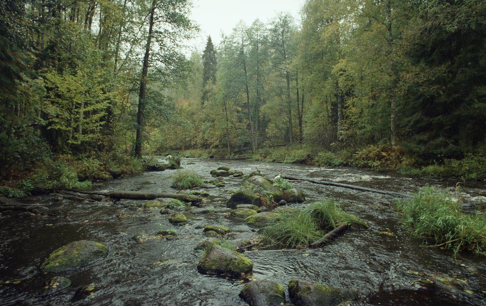 Линдуловская роща