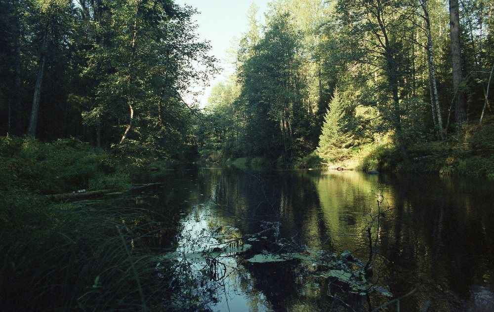 Линдуловская роща