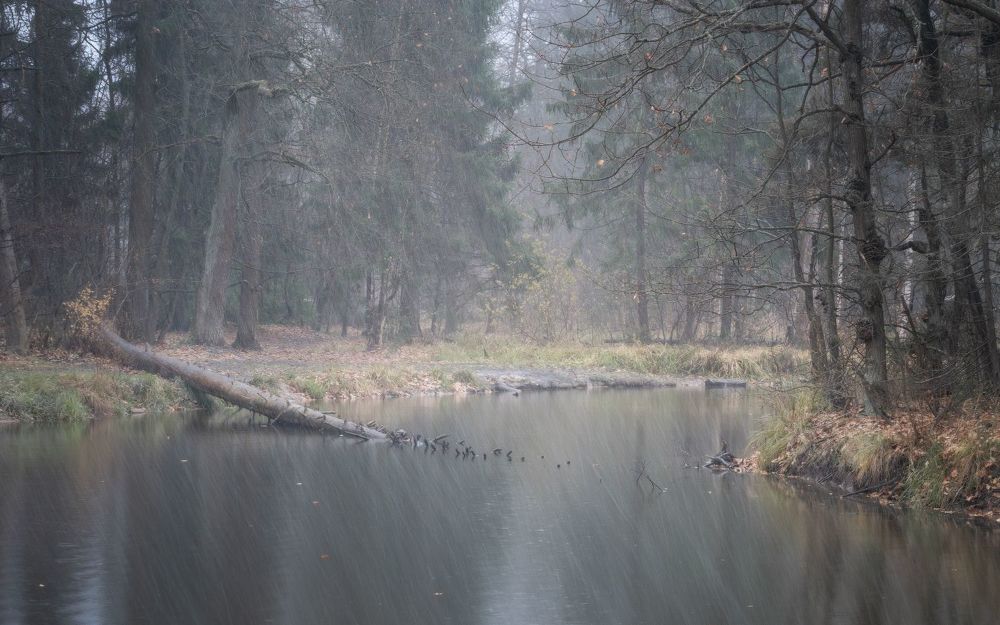 Photo 2124870