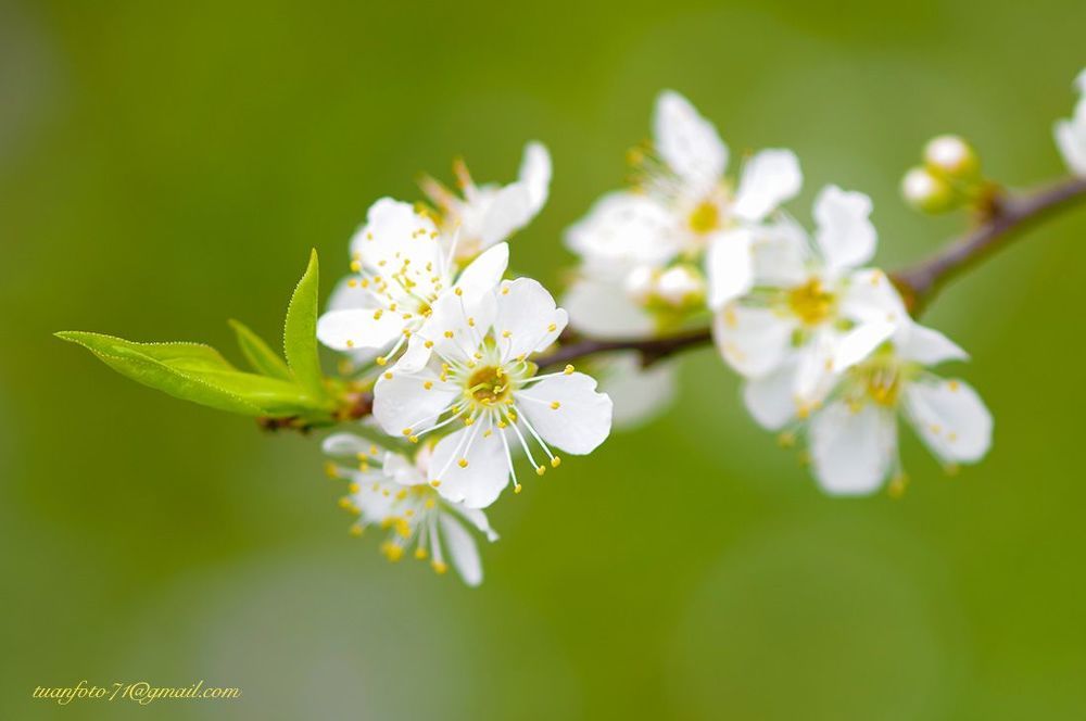 Floer