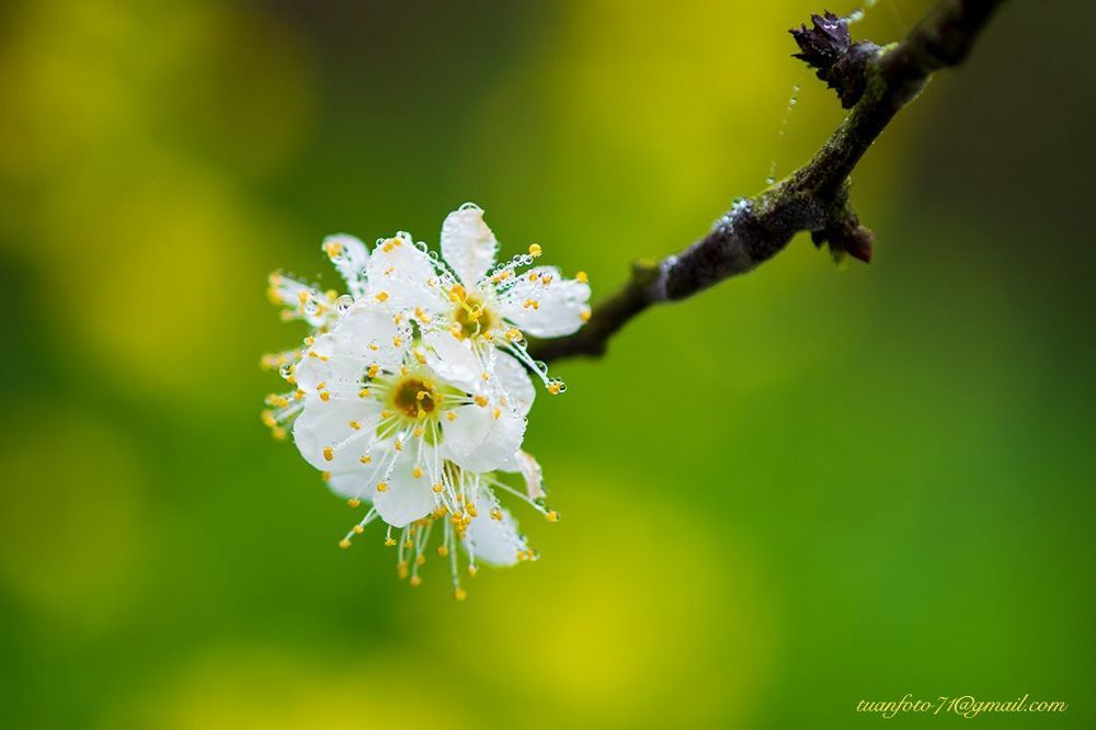 Floer