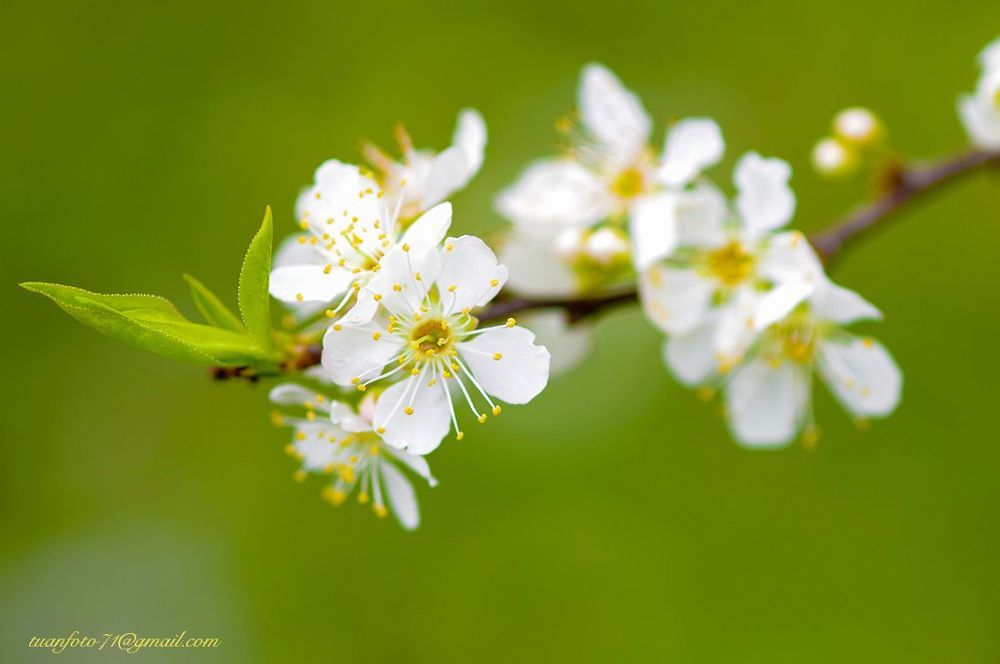Floer