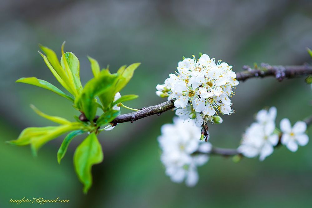 Floer