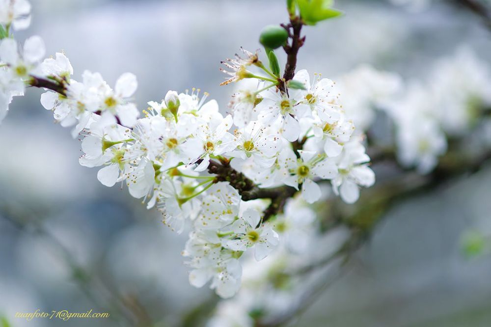 Floer