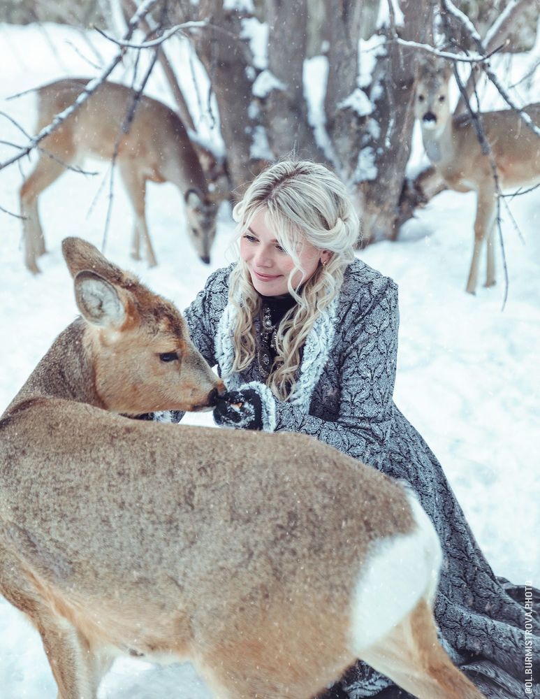 Winter Fairy Tale