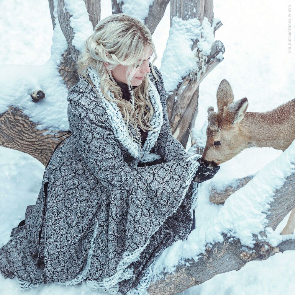 Winter Fairy Tale