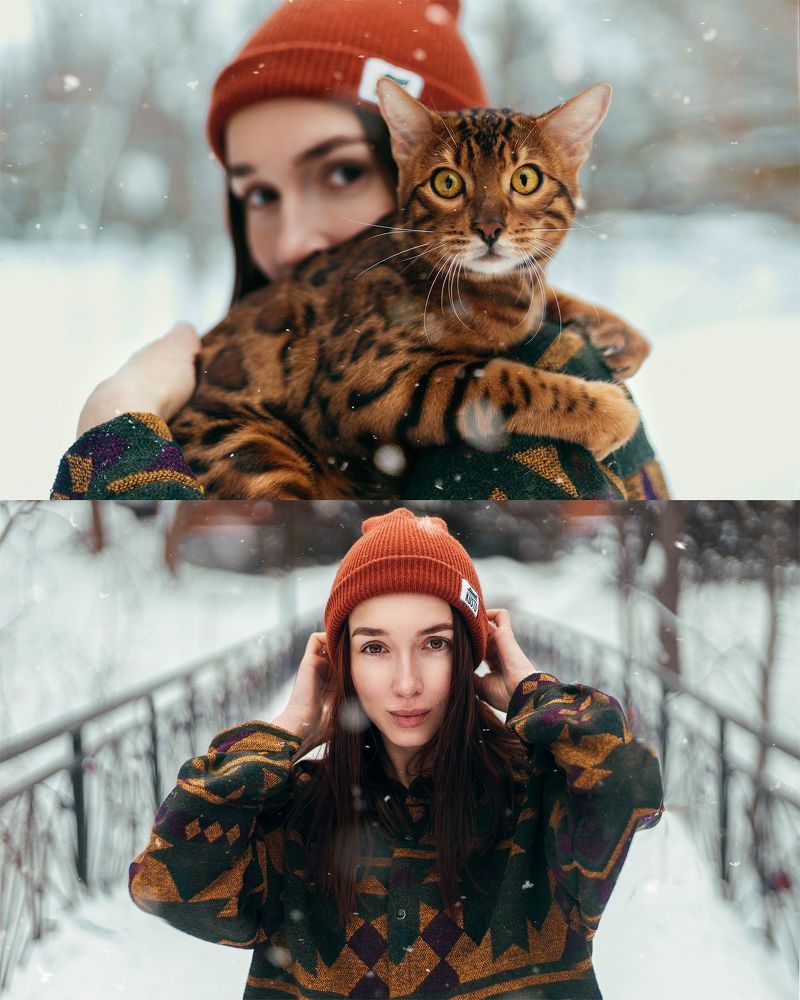 Bengal