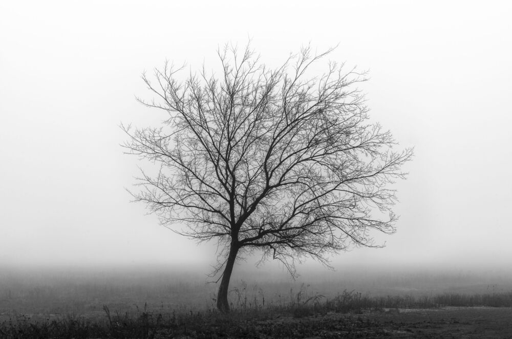 Photo 2129787