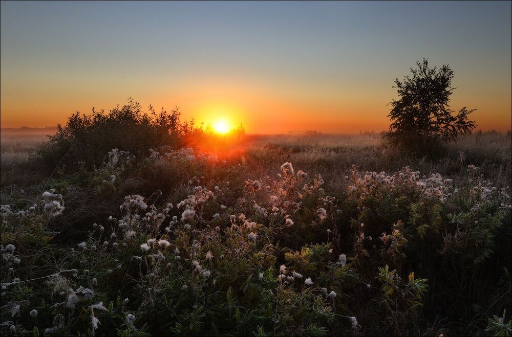 Photo 213822
