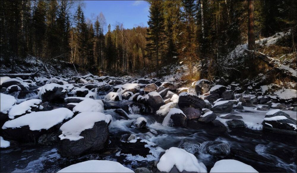 Photo 213826
