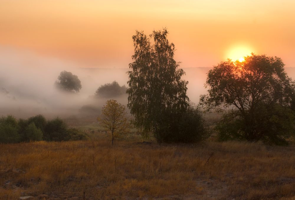 с. Савицкое, Липецкая обл.