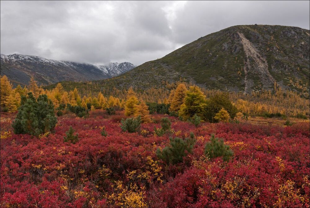 Осенняя палитра Джека