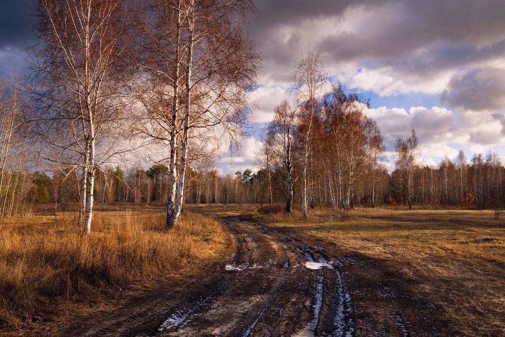 Оттепель в Рождество