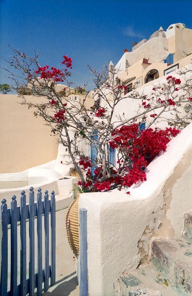 &Sigma;&Alpha;&Nu;&Tau;&Omicron;&Rho;&Iota;&Nu;&Eta;