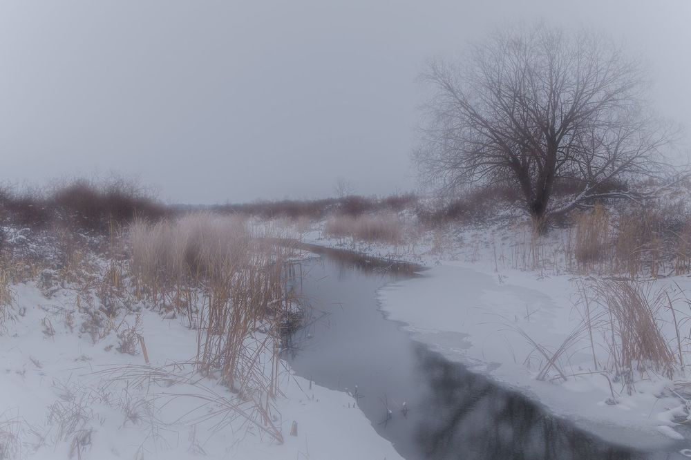 Река Быстрица