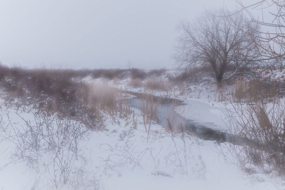 Река Быстрица